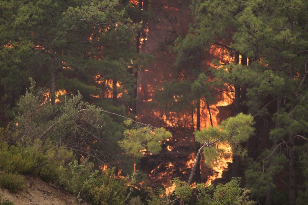 Antalya'da korkulan olmadı ama arazide daha kötüsü oldu