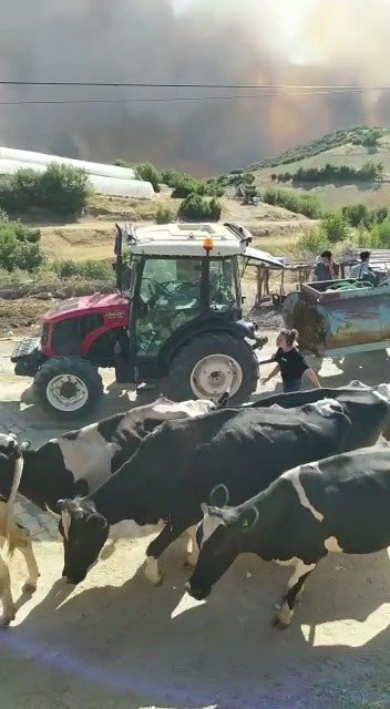 Denizli'de alevlerden büyük kaçış