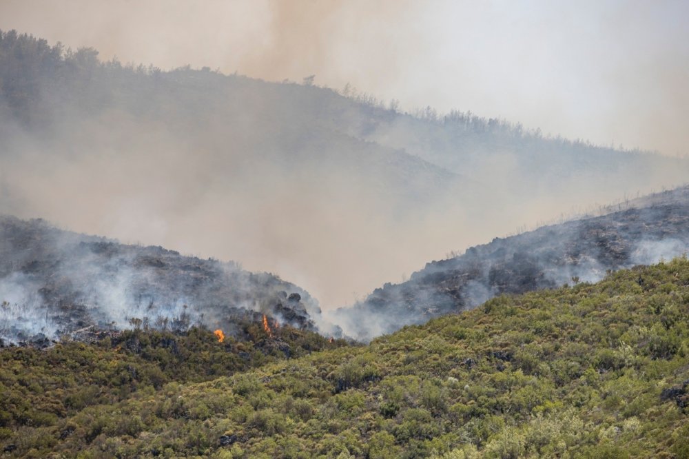 İzmir Belediye Başkanı Tunç Soyer'den Muğla çıkarması