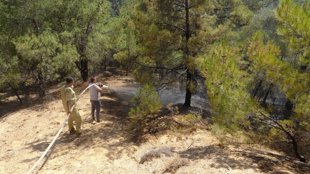 Uşak halkı yangın nöbeti tuttu başarılı oldu