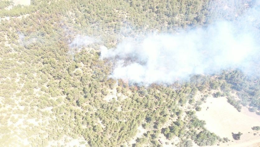 Uşak halkı yangın nöbeti tuttu başarılı oldu