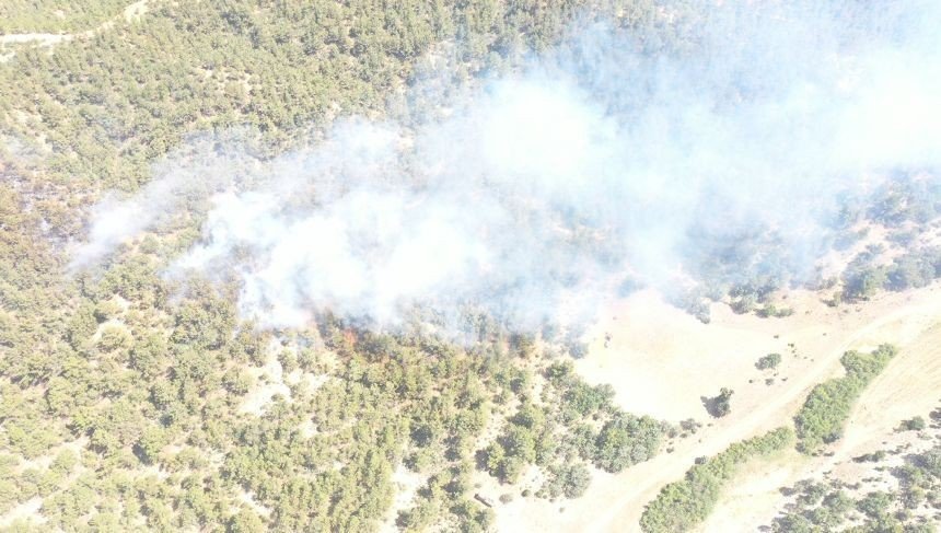Uşak halkı yangın nöbeti tuttu başarılı oldu