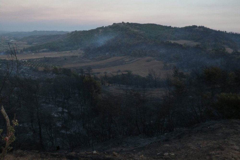 Yanan orman alanları yapılaşmaya açılacak mı? Cevap Ömer Çelik'ten geldi