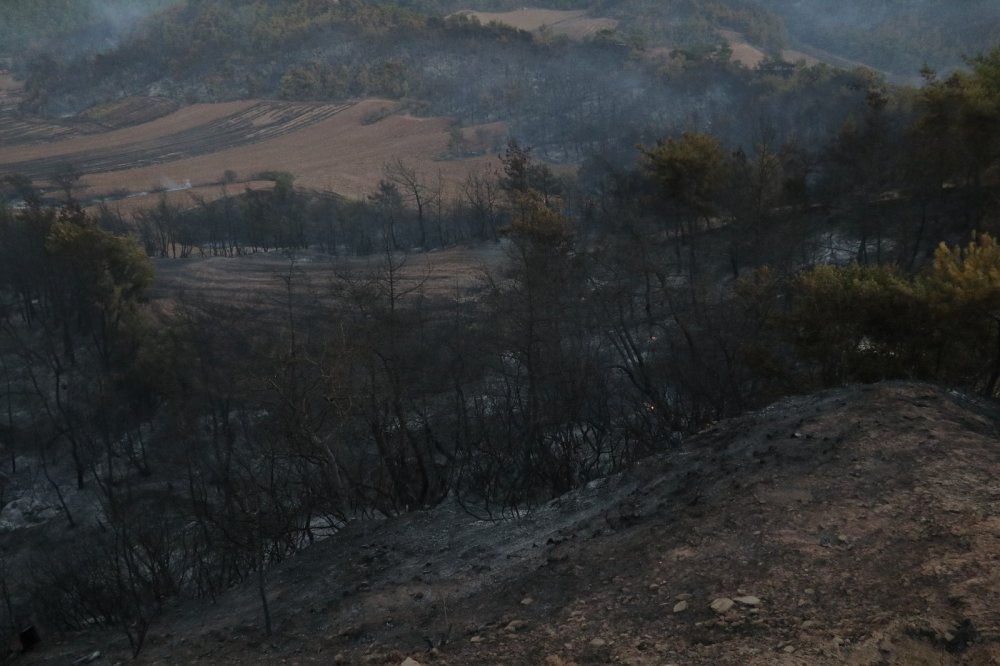 Yanan orman alanları yapılaşmaya açılacak mı? Cevap Ömer Çelik'ten geldi