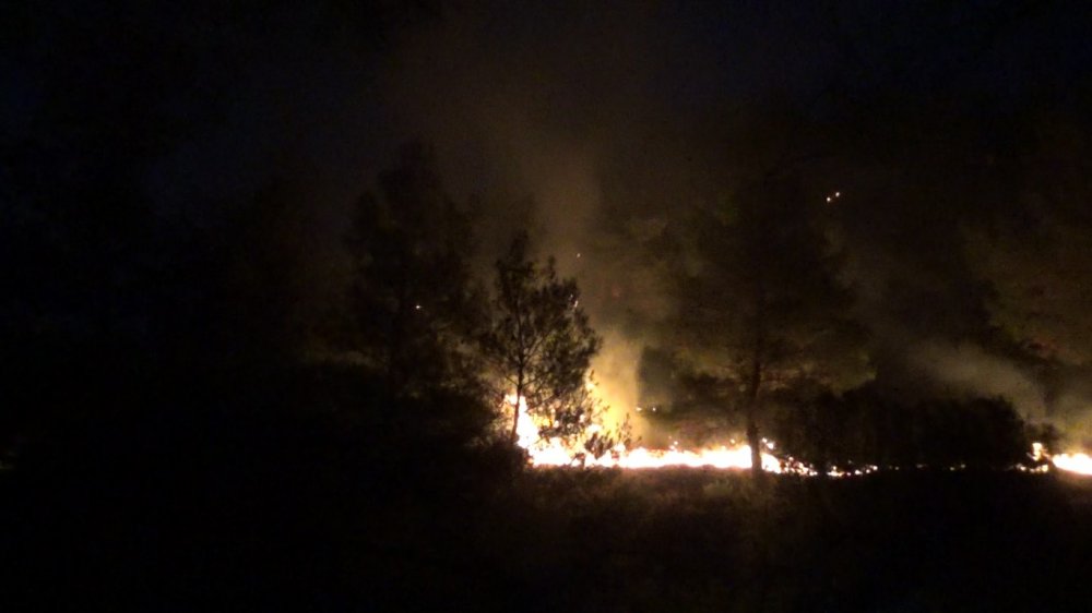 Manisa Cephanelik mevkiinde orman yangını! Vatandaş seferber oldu