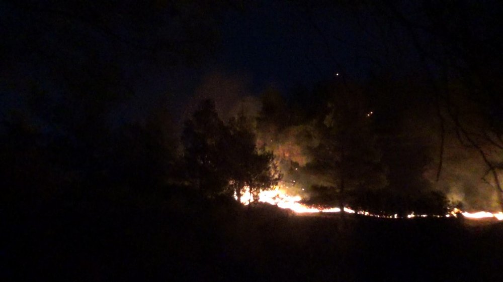 Manisa Cephanelik mevkiinde orman yangını! Vatandaş seferber oldu