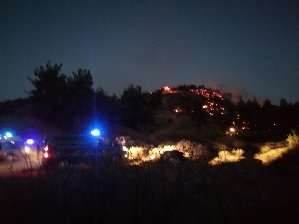 Manisa Cephanelik mevkiinde orman yangını! Vatandaş seferber oldu