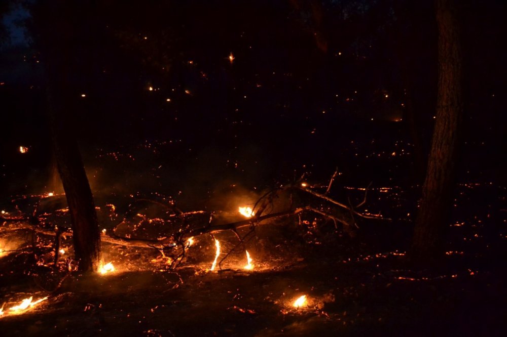 Manisa Cephanelik mevkiinde orman yangını! Vatandaş seferber oldu