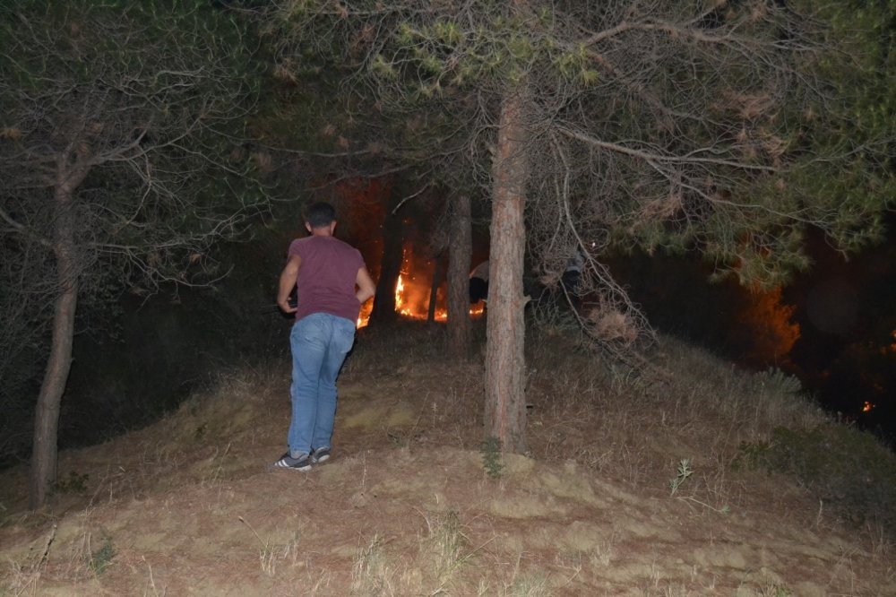 Manisa Cephanelik mevkiinde orman yangını! Vatandaş seferber oldu