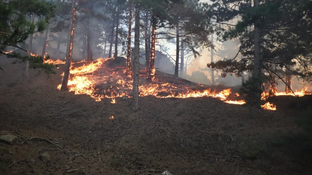 Denizli alev alev yanıyor
