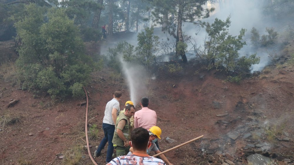 Denizli'de binlerce vatandaş yangına karşı seferber oldu