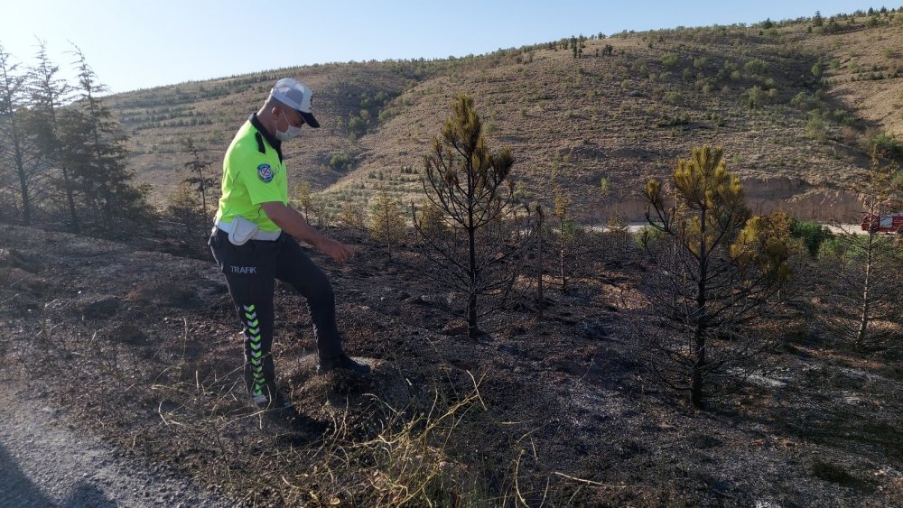 Konya’da Ardıçlı'daki orman yangını 'kasıtlı çıkarıldı' iddiası!
