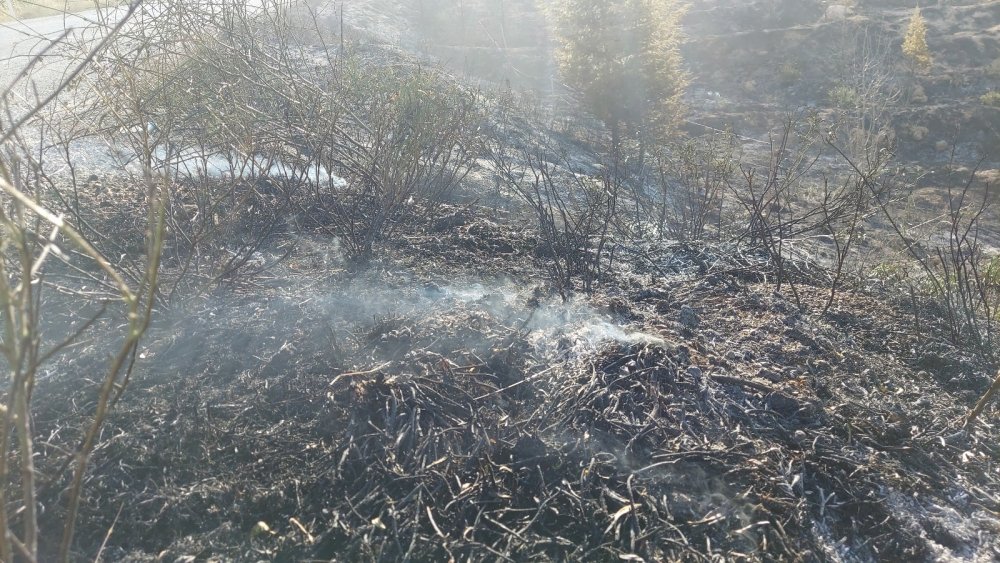 Konya’da Ardıçlı'daki orman yangını 'kasıtlı çıkarıldı' iddiası!