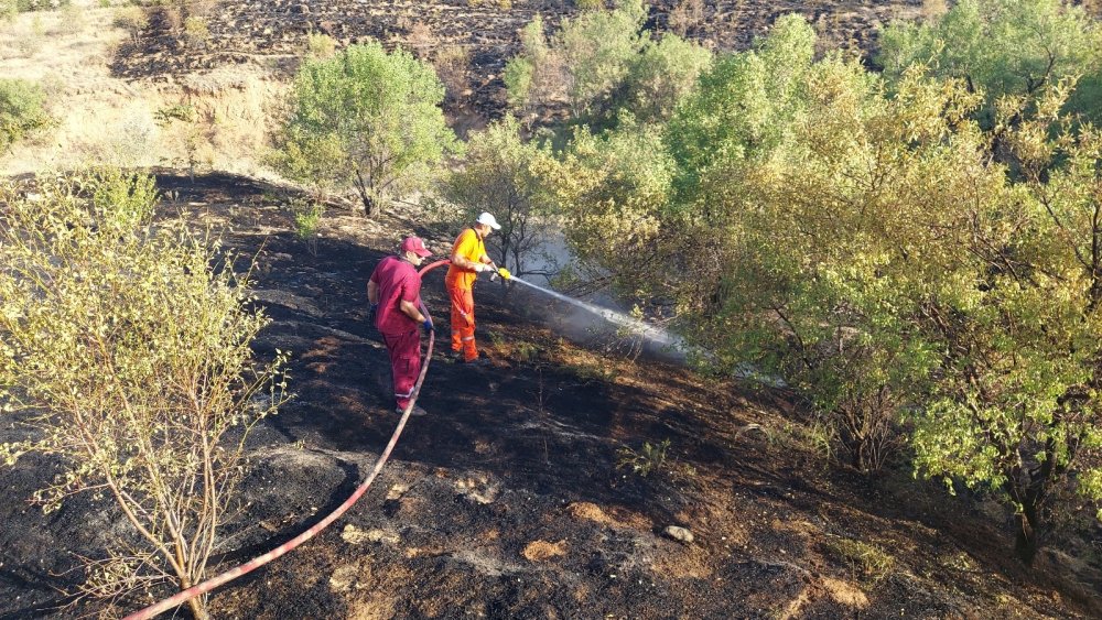 Konya’da Ardıçlı'daki orman yangını 'kasıtlı çıkarıldı' iddiası!