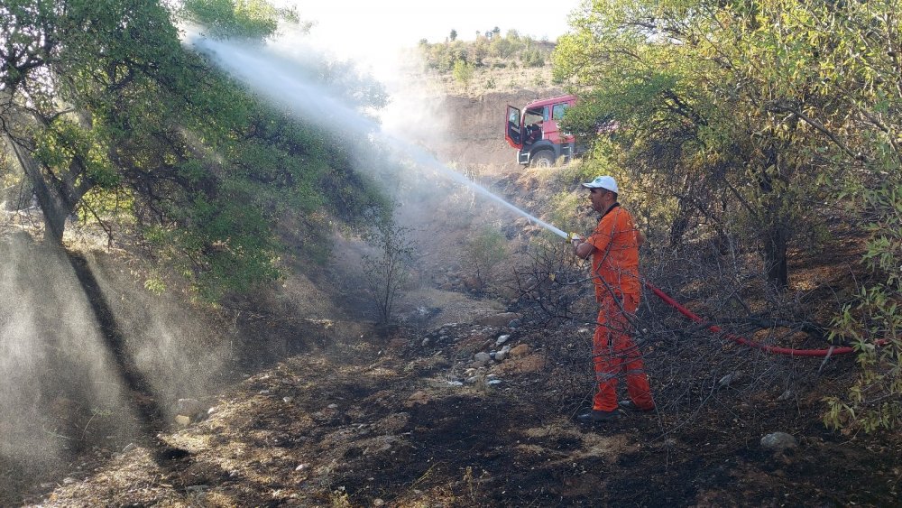 Konya’da Ardıçlı'daki orman yangını 'kasıtlı çıkarıldı' iddiası!