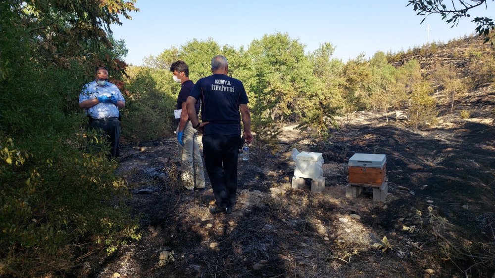 Konya’da Ardıçlı'daki orman yangını 'kasıtlı çıkarıldı' iddiası!