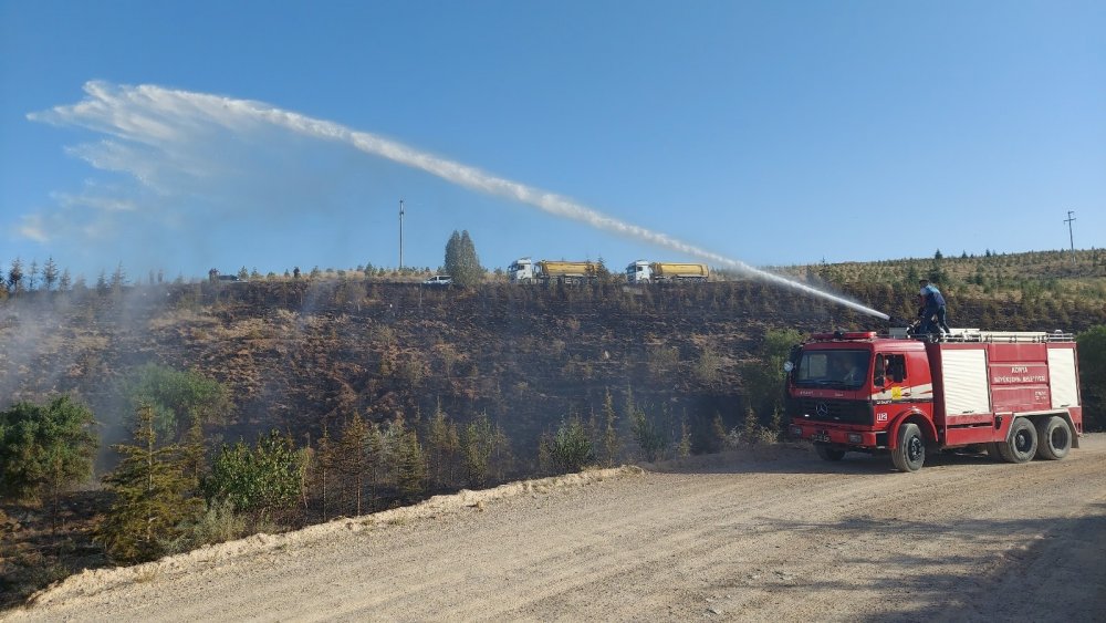 Konya’da Ardıçlı'daki orman yangını 'kasıtlı çıkarıldı' iddiası!