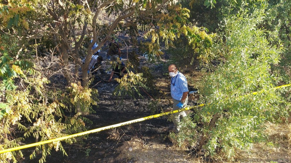 Konya’da Ardıçlı'daki orman yangını 'kasıtlı çıkarıldı' iddiası!