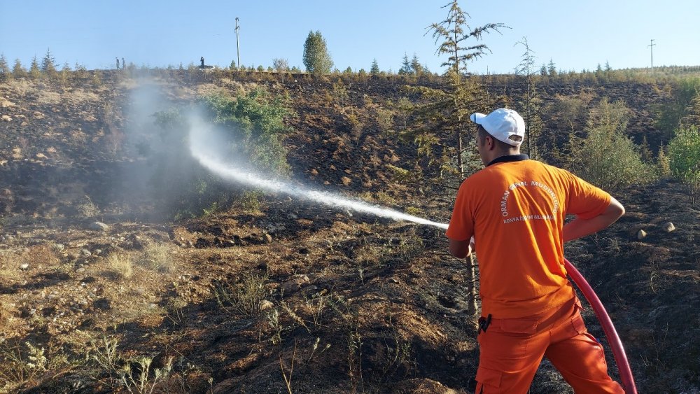 Konya’da Ardıçlı'daki orman yangını 'kasıtlı çıkarıldı' iddiası!