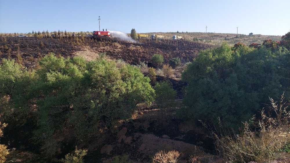 Konya’da Ardıçlı'daki orman yangını 'kasıtlı çıkarıldı' iddiası!