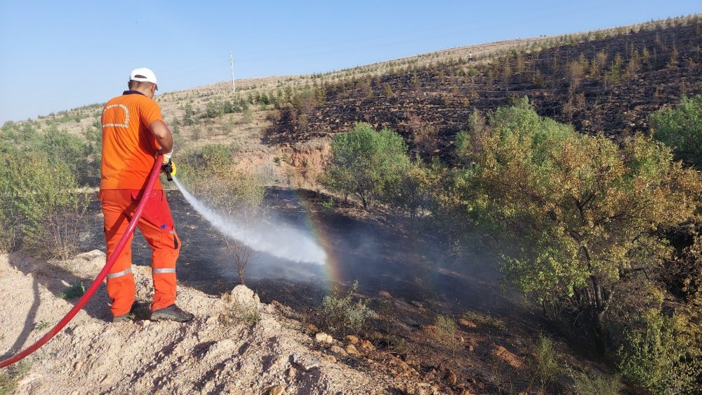 Konya’da Ardıçlı'daki orman yangını 'kasıtlı çıkarıldı' iddiası!