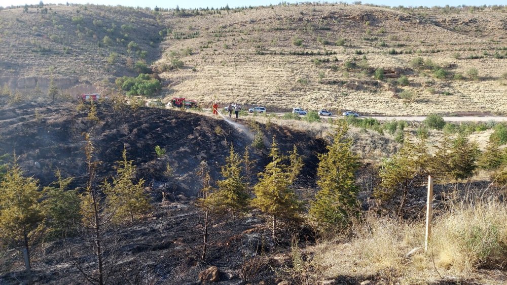 Konya’da Ardıçlı'daki orman yangını 'kasıtlı çıkarıldı' iddiası!
