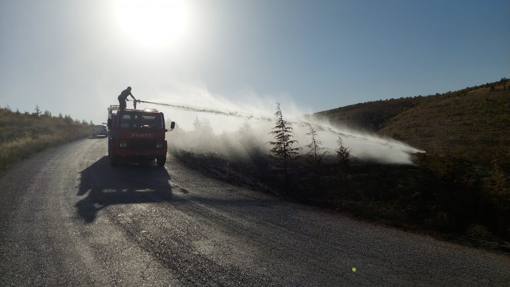 Konya’da Ardıçlı'daki orman yangını 'kasıtlı çıkarıldı' iddiası!