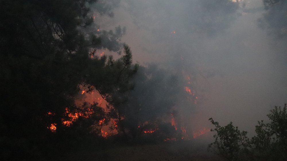 Tavas’taki yangın kısmen kontrol altına alındı