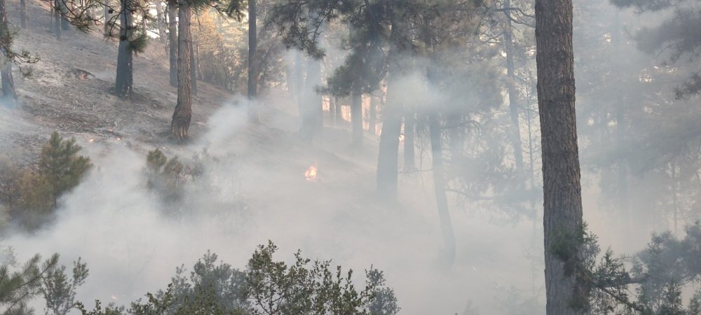 Tavas’taki yangın kısmen kontrol altına alındı