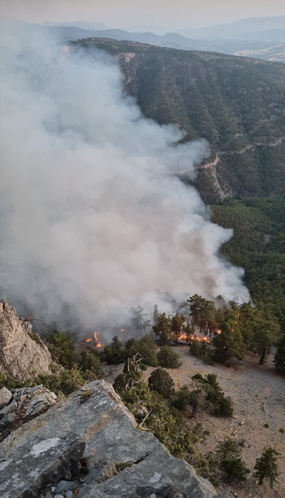 Adana'da ormana düşen yıldırım yangın çıkardı! 3 kişi yaralandı