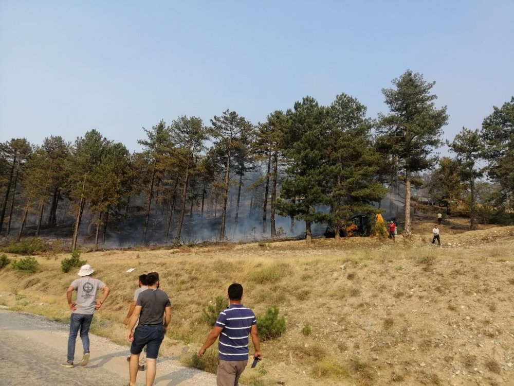 Denizli Honaz’daki ikinci yangın da kontrol altına alındı