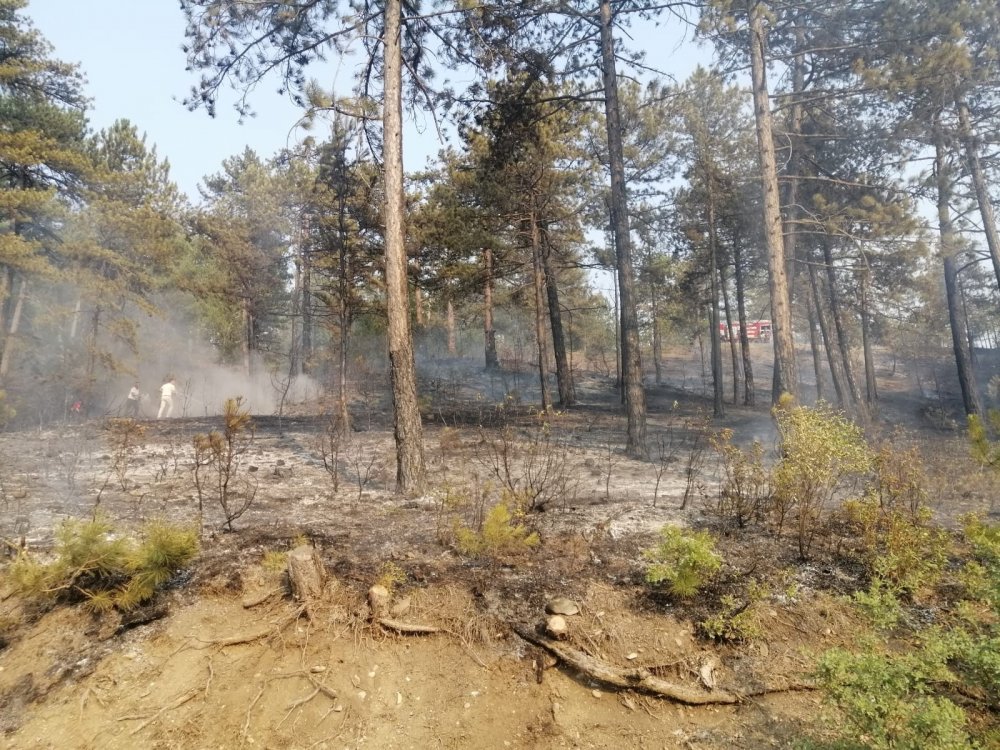 Denizli Honaz’daki ikinci yangın da kontrol altına alındı