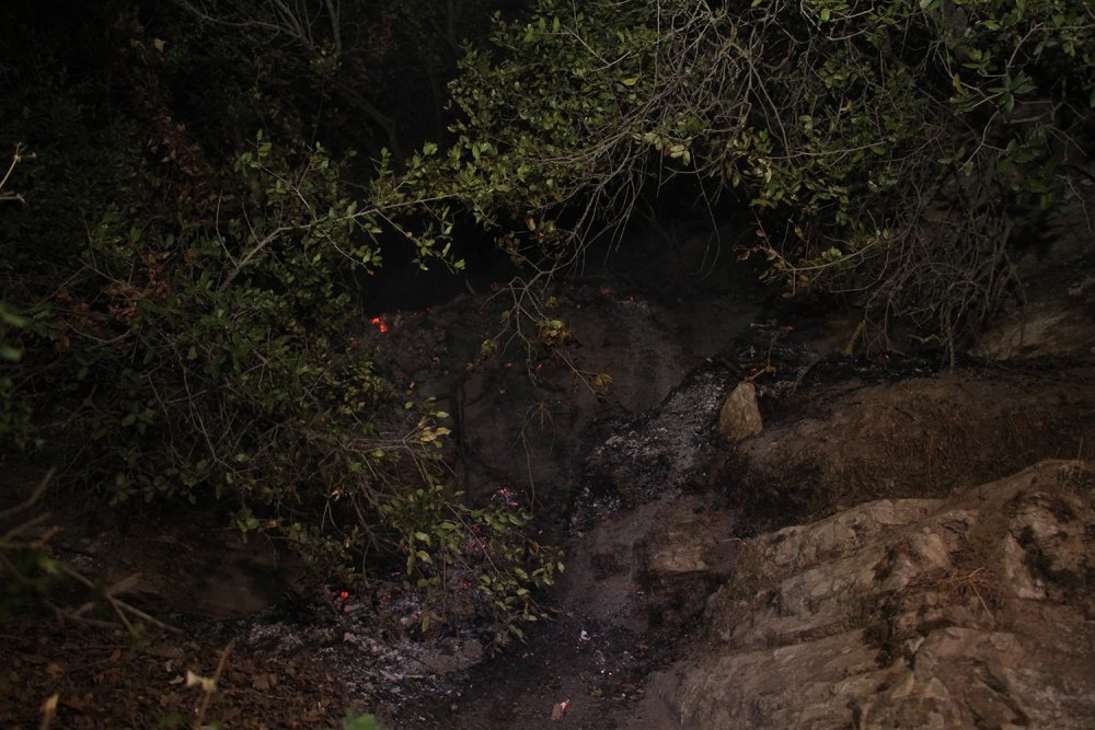 Manisa'da zeytinlikte yangın çıktı! Mahallelinin dikkati müdahaleyi hızlandırdı