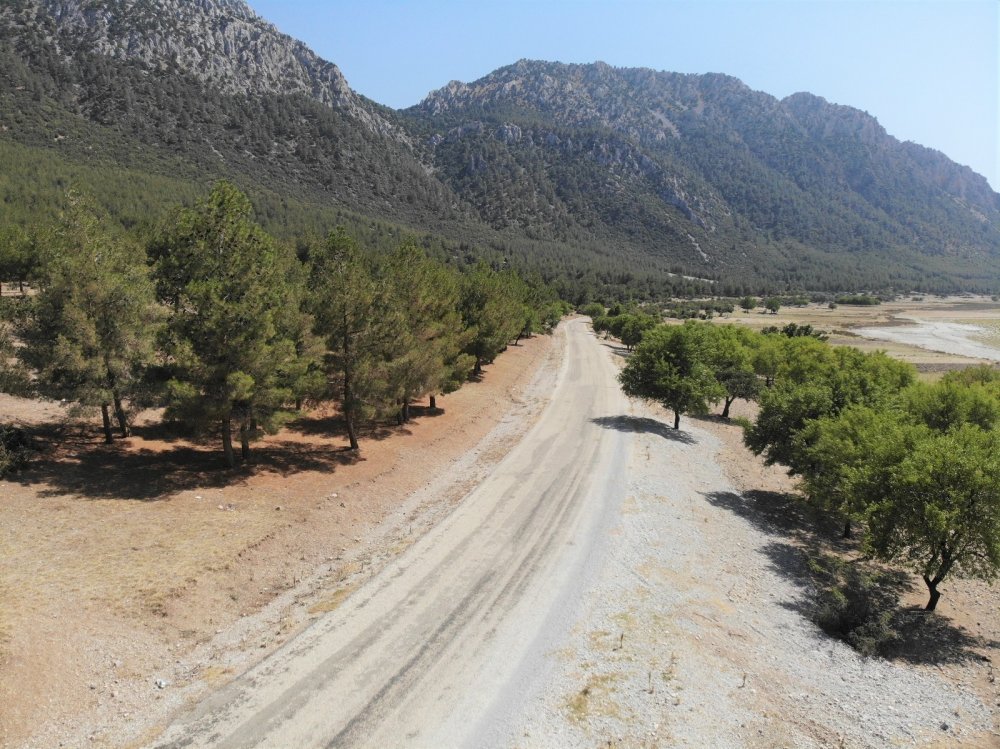 Proje başarılı oldu! Bu ormanda 30 yıldır yangın çıkmadı