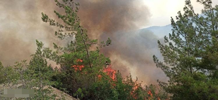 Karabük'teki orman yangınından güzel haber geldi