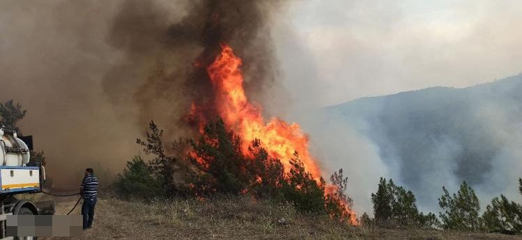 Karabük'teki orman yangınından güzel haber geldi