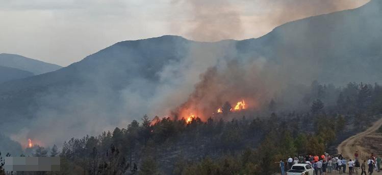 Karabük'teki orman yangınından güzel haber geldi