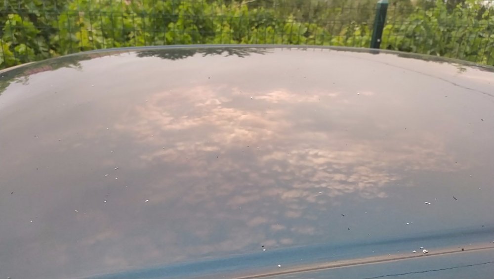 Muğla’daki yangının külleri Denizli'ye yağıyor