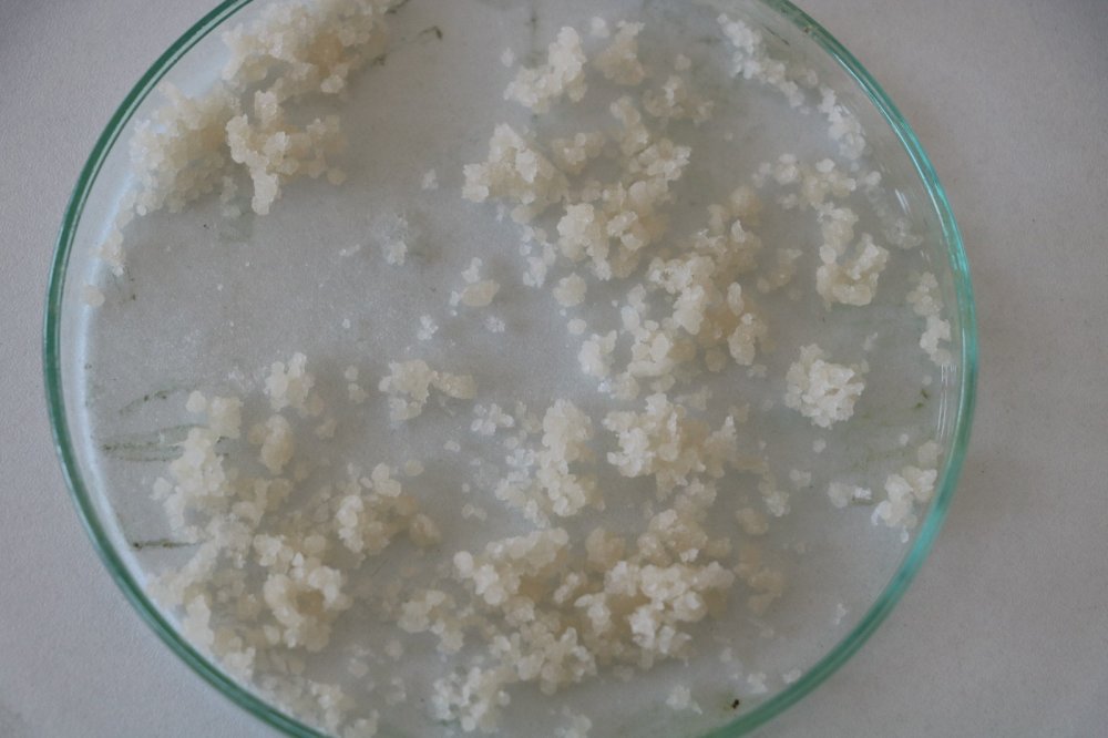 Dünya Malatya'daki 18 yaşındaki mucit Feridun Balaban'ı konuşuyor!