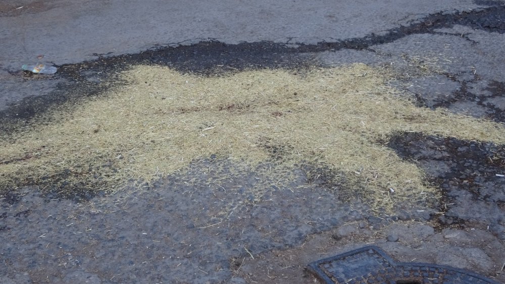 Hayvan satıcılarının yer kavgası kanlı bitti! 1 ölü 1 yaralı