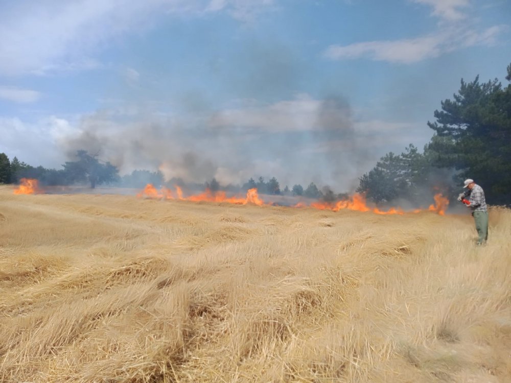 Safranbolu'da ekin tarlası alev alev yandı