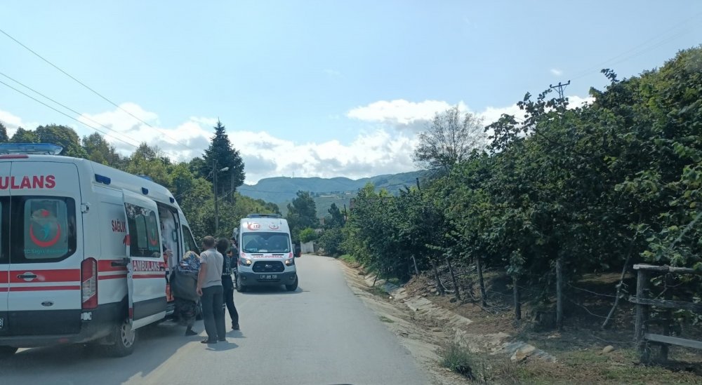 Düzce'de patpat dereye uçtu! 1 yaralı