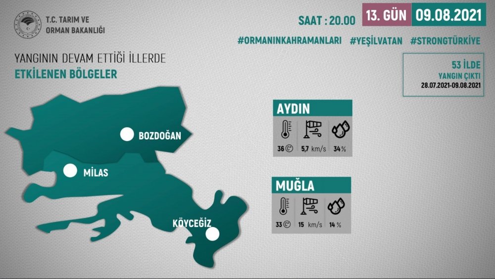 Orman yangınlarında son durum! 270 yangından 267’si kontrol altında