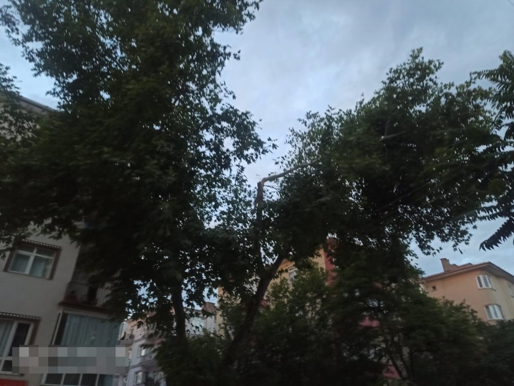 Ankara’da şiddetli rüzgar! Kırılan ağaç dalları trafiği aksattı