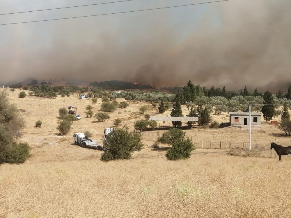 İzmir Foça yangınında son durum bilgisi ulaştı