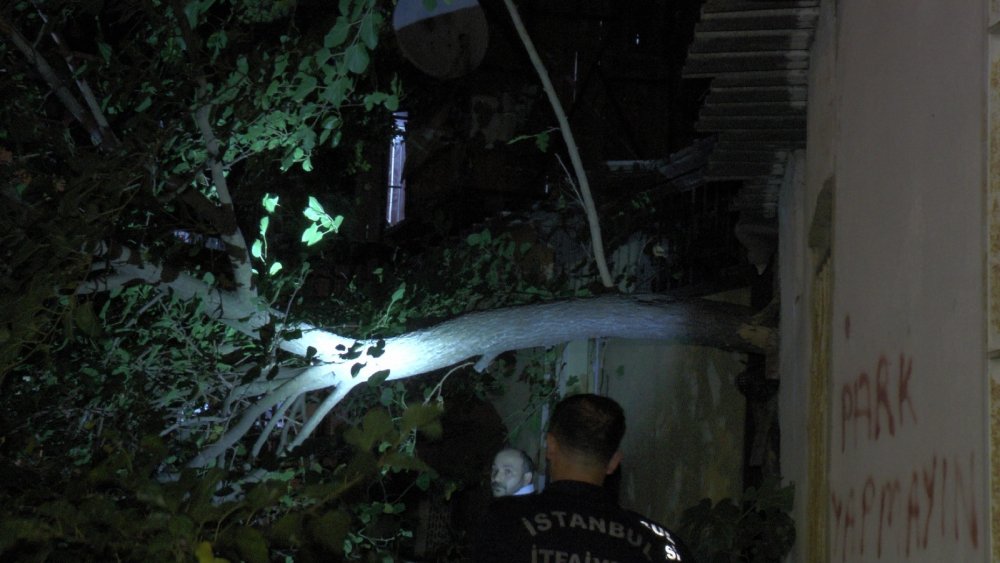 Çürük ağaç büyük bir gürültüyle otomobilin üzerine devrildi! Zamanlama faciayı önledi