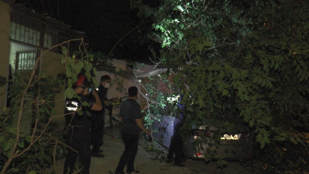 Çürük ağaç büyük bir gürültüyle otomobilin üzerine devrildi! Zamanlama faciayı önledi