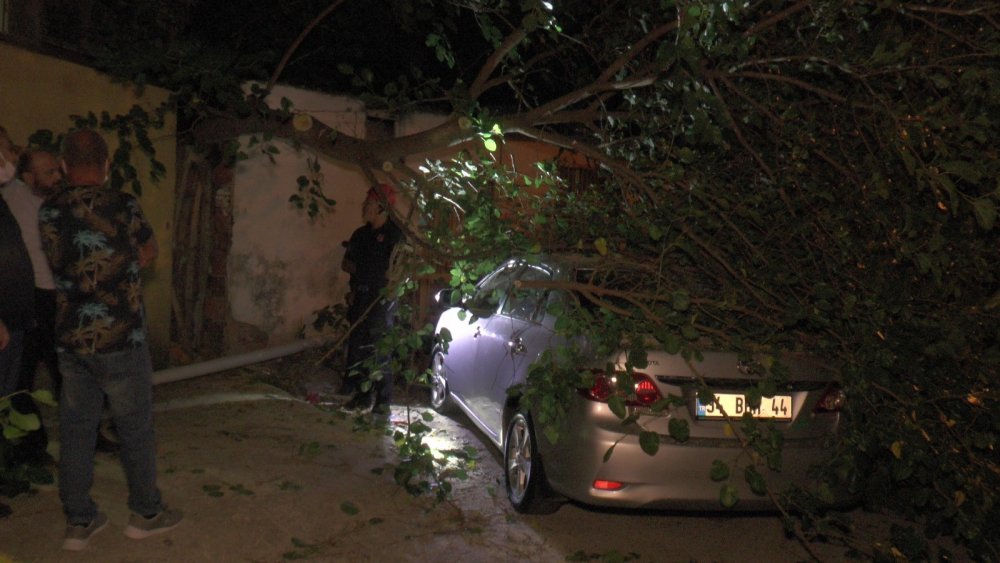 Çürük ağaç büyük bir gürültüyle otomobilin üzerine devrildi! Zamanlama faciayı önledi