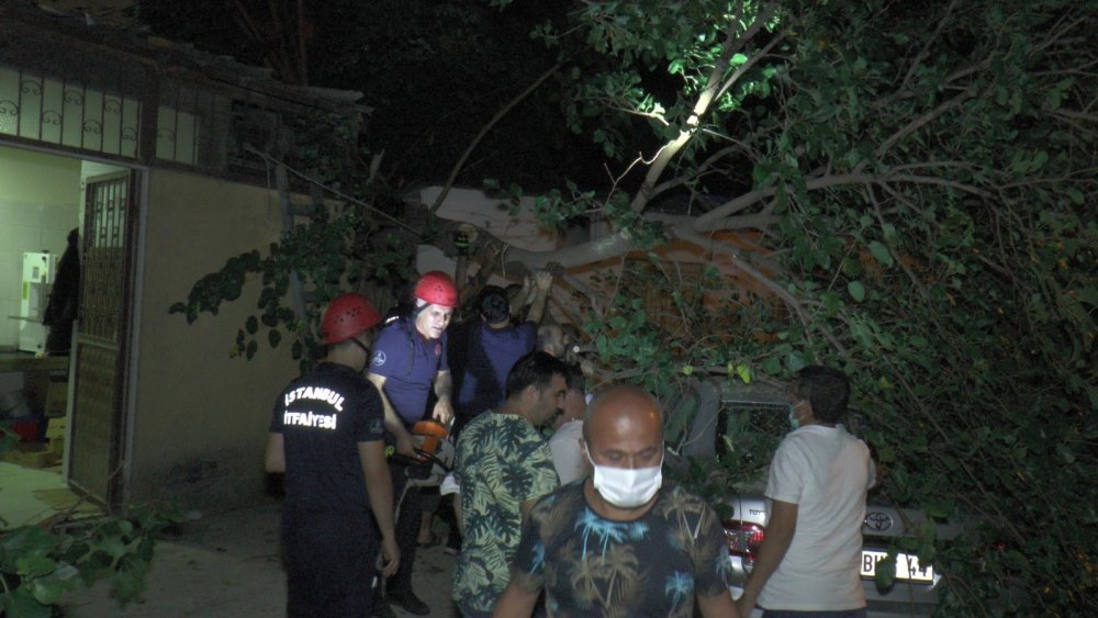 Çürük ağaç büyük bir gürültüyle otomobilin üzerine devrildi! Zamanlama faciayı önledi