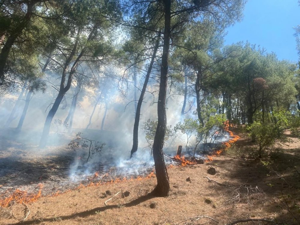 Uşak’ta orman yangını! Büyümeden kontrol altına alındı